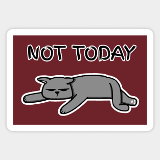 Not Today Cat (Dark Colors) Magnet